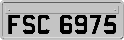 FSC6975