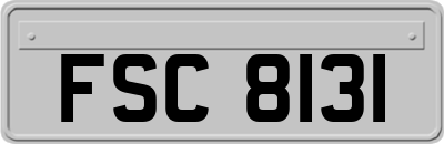 FSC8131