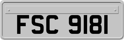 FSC9181