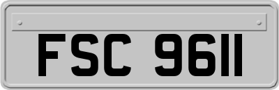 FSC9611