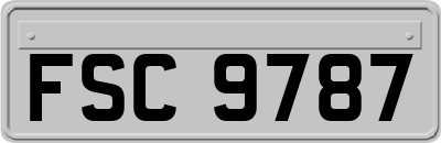 FSC9787