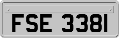 FSE3381