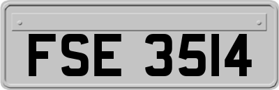 FSE3514