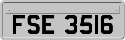 FSE3516
