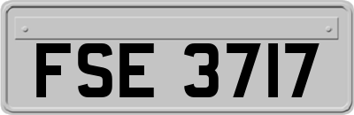 FSE3717