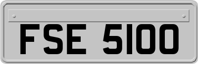 FSE5100