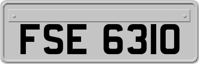 FSE6310
