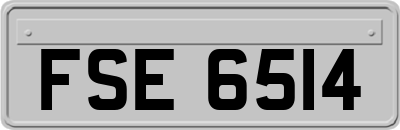 FSE6514