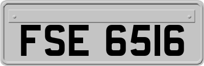 FSE6516