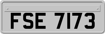 FSE7173