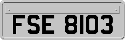 FSE8103