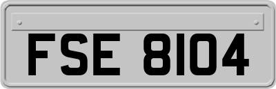 FSE8104