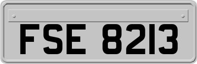 FSE8213