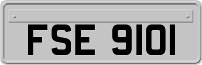 FSE9101