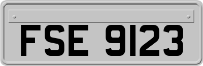 FSE9123
