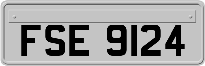 FSE9124