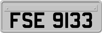FSE9133