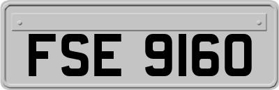 FSE9160