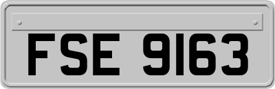 FSE9163