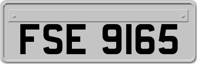 FSE9165