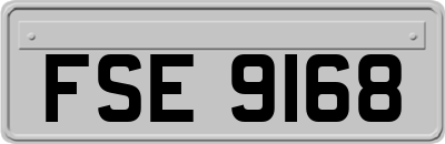 FSE9168