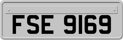 FSE9169