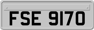 FSE9170