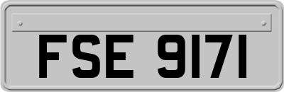 FSE9171