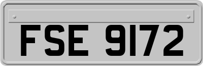 FSE9172