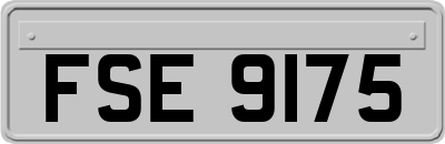 FSE9175