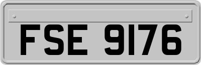 FSE9176
