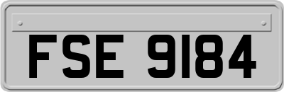 FSE9184