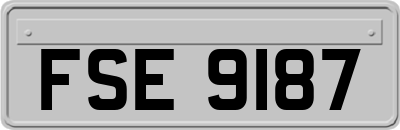 FSE9187