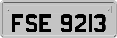 FSE9213