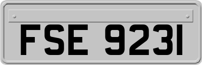 FSE9231