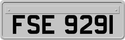 FSE9291