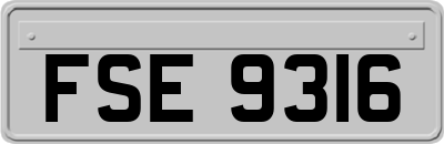 FSE9316
