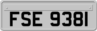 FSE9381