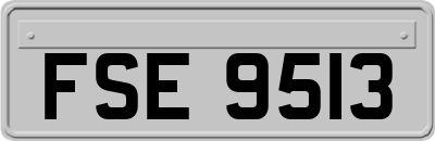 FSE9513