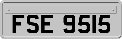FSE9515