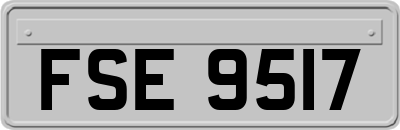FSE9517
