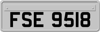 FSE9518