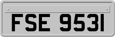 FSE9531