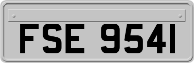 FSE9541