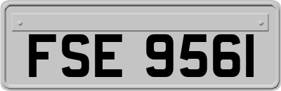 FSE9561