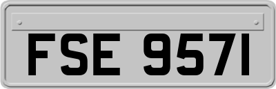 FSE9571