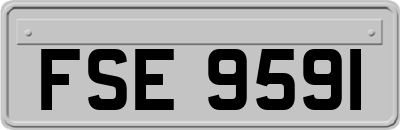 FSE9591