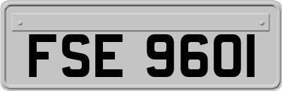 FSE9601