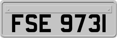FSE9731