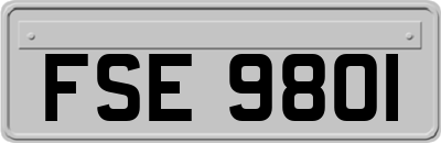 FSE9801
